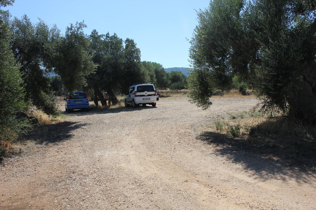Masseria Vagone Macchia di Monte エクステリア 写真