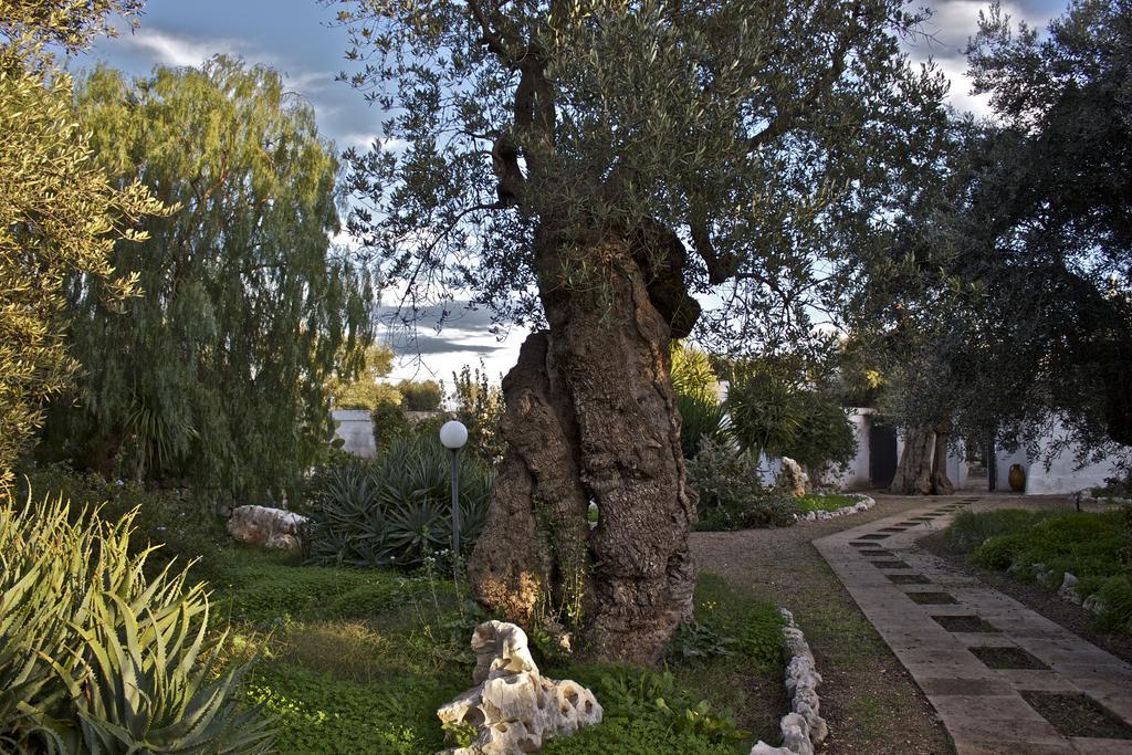 Masseria Vagone Macchia di Monte エクステリア 写真